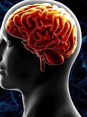 Introduction to Aging and Brain Atrophy