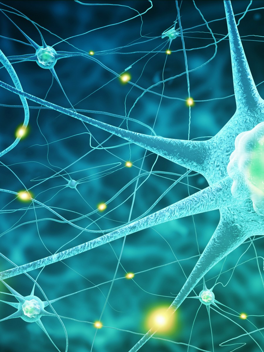 How Do You Store Memories?