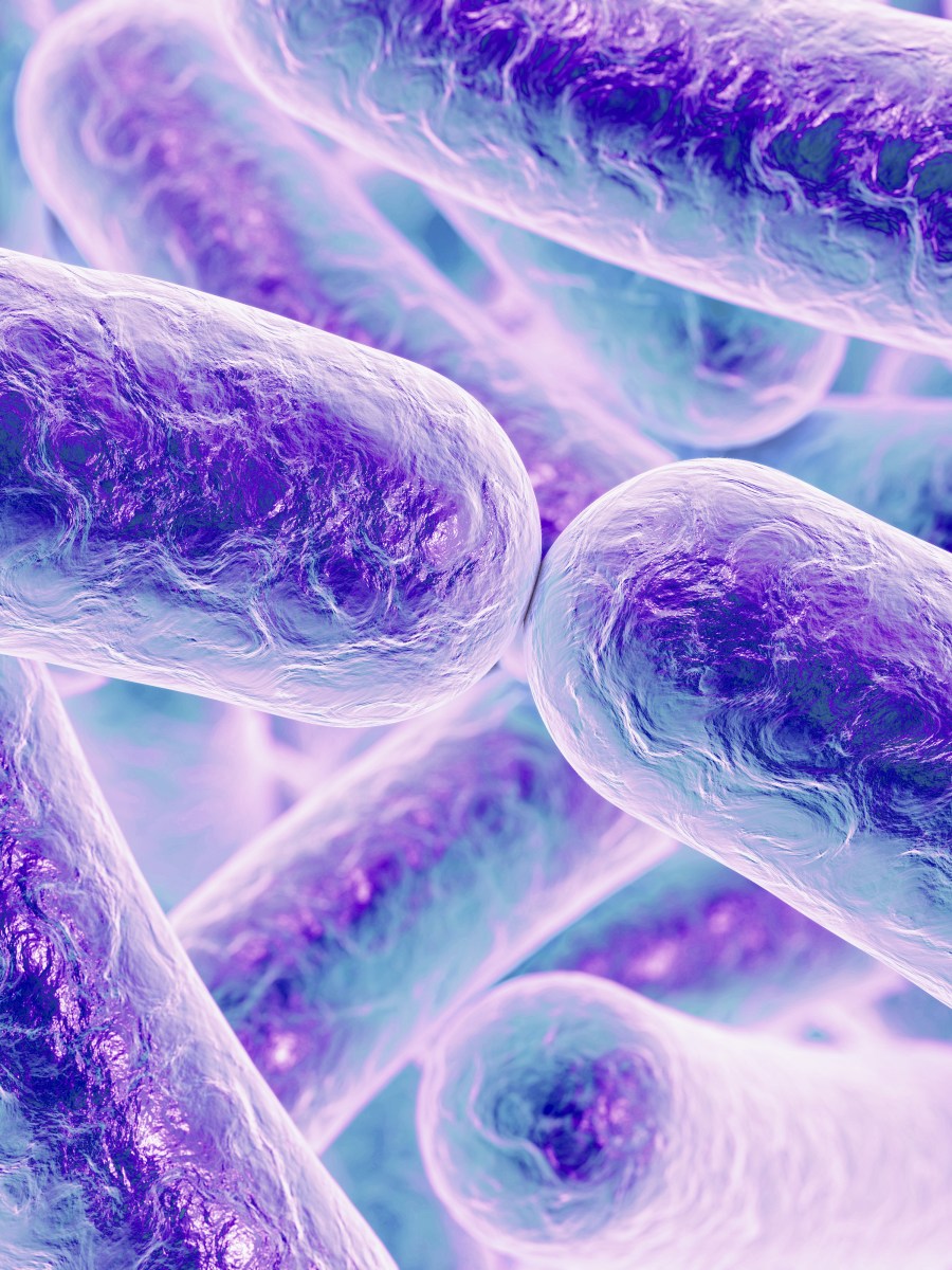 Mental Health And Your Gut Microbiome