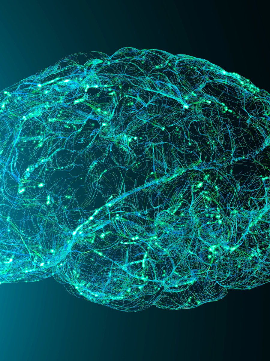 Biomarkers of Blood Brain Barrier Integrity