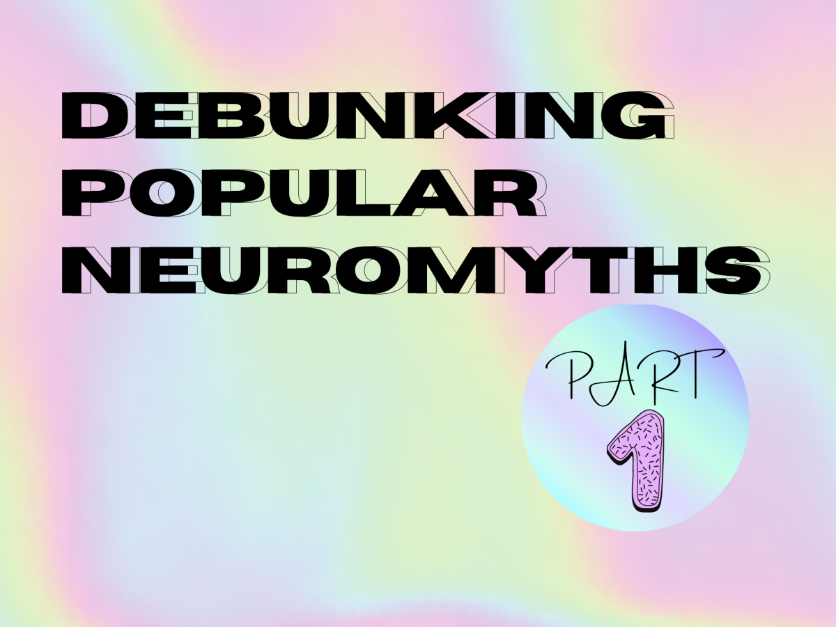 Debunking Popular Neuromyths: Do You Use Your Entire Brain?