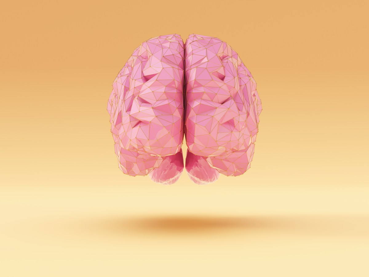 Neuromyths: What are they and what can we do about them?